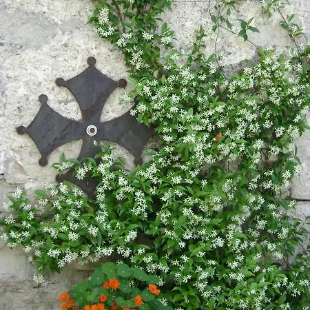 Le Relais De * Ventenac-Cabardès